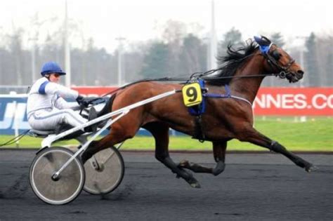 le trot|le trot consulter les annonces.